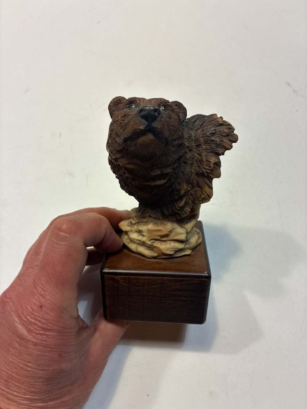 Black Forest Antique Grizzly Bear 1930s Germany Bead Eyes - ,